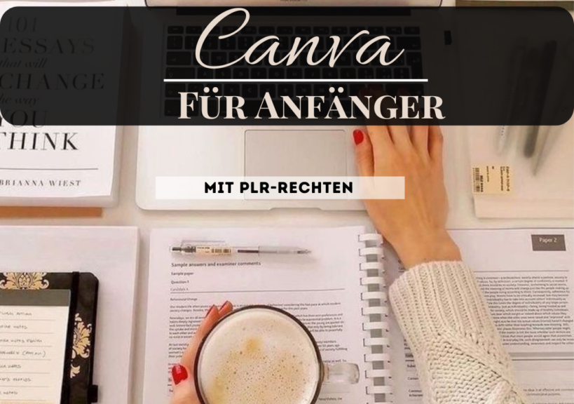 Was sind MRR und PLR, die Revolution in 2024